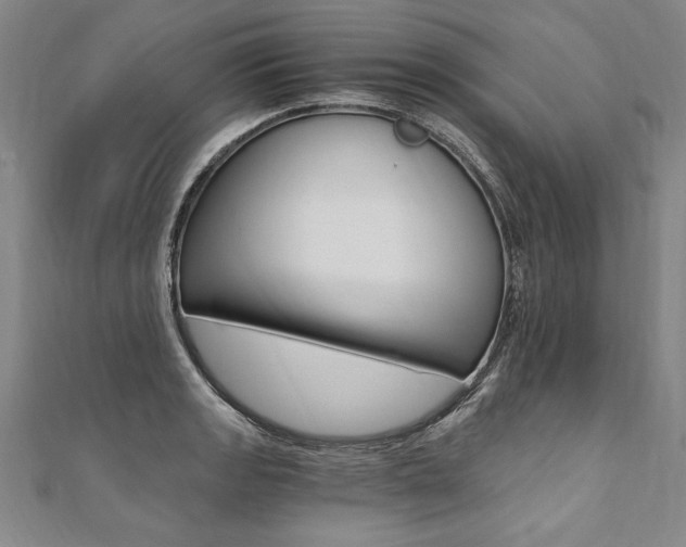 X0000110691133200906121050