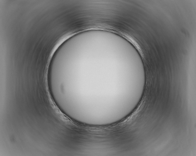 X0000110691138200906121050