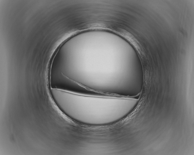 X0000110691142200906121050