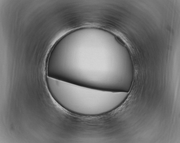 X0000110691143200906121050