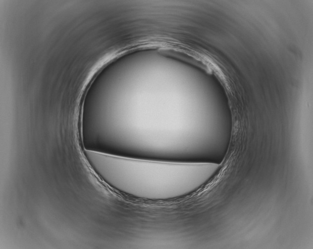 X0000110691146200906121050