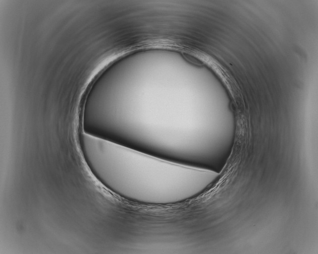 X0000110691147200906121050
