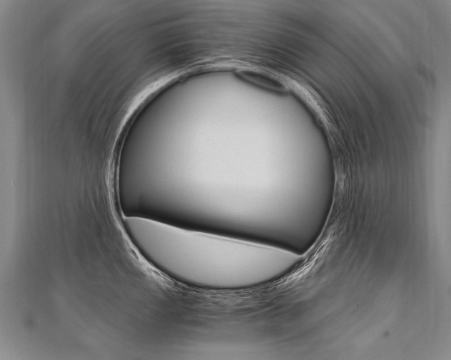 X0000110691149200906121050