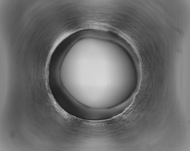 X0000110691152200906121050
