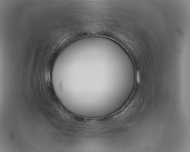 X0000110691155200906121049