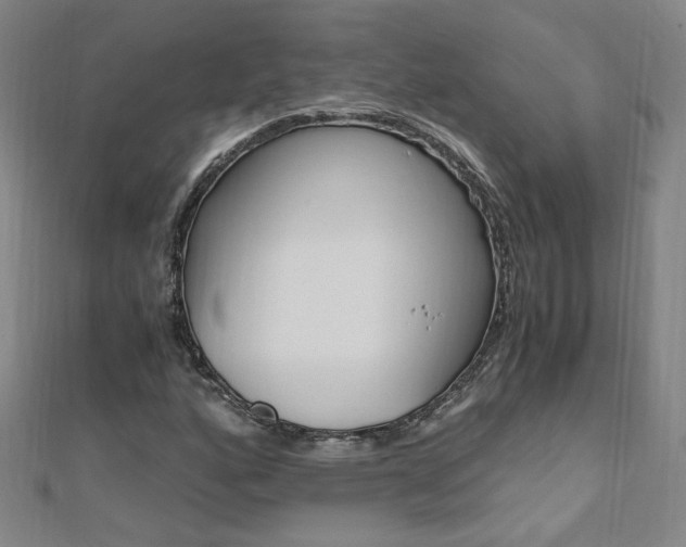 X0000110691160200906121049