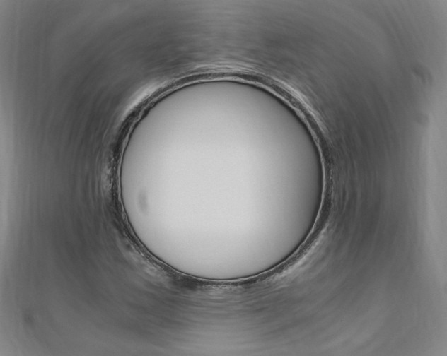 X0000110691163200906121049