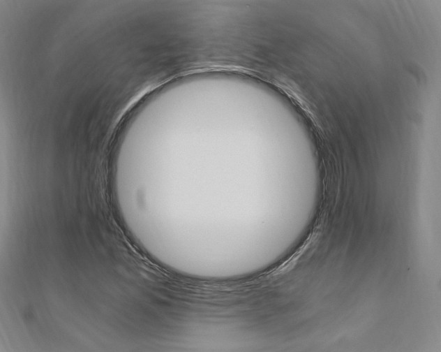 X0000110691165200906121049