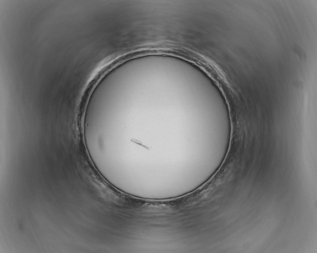 X0000110691168200906121049