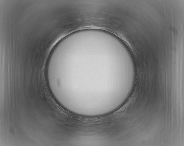 X0000110691173200906121049