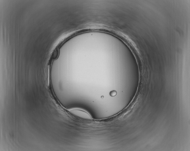 X0000110691175200906121049