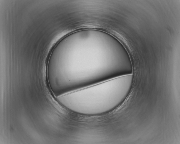 X0000110691179200906121049