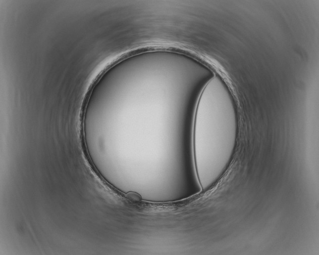 X0000110691183200906121049