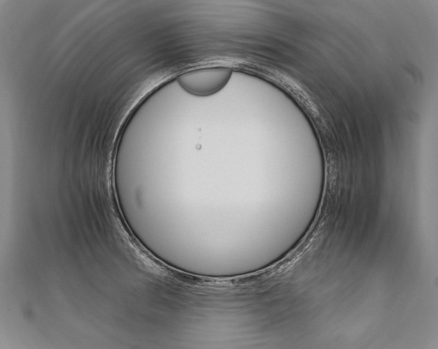 X0000110691186200906121049