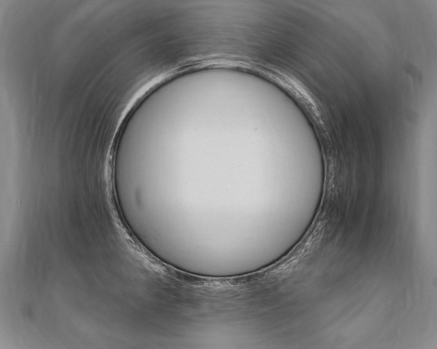 X0000110691190200906121049
