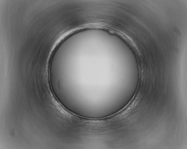 X0000110691192200906121049