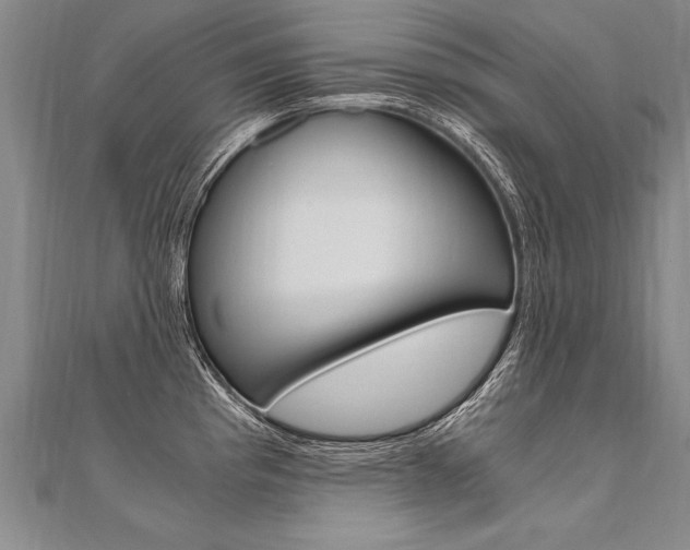 X0000110691193200906121049