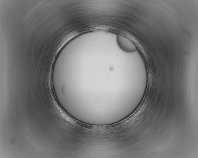 X0000110691194200906121049