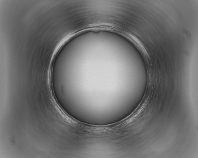 X0000110691196200906121049