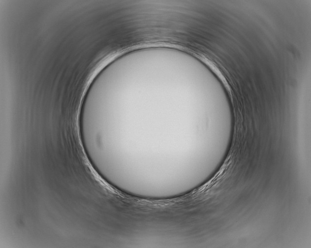 X0000110691197200906121049