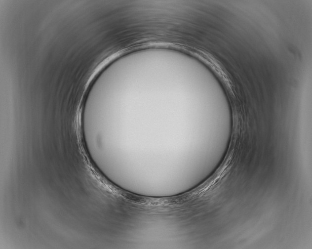 X0000110691198200906121049