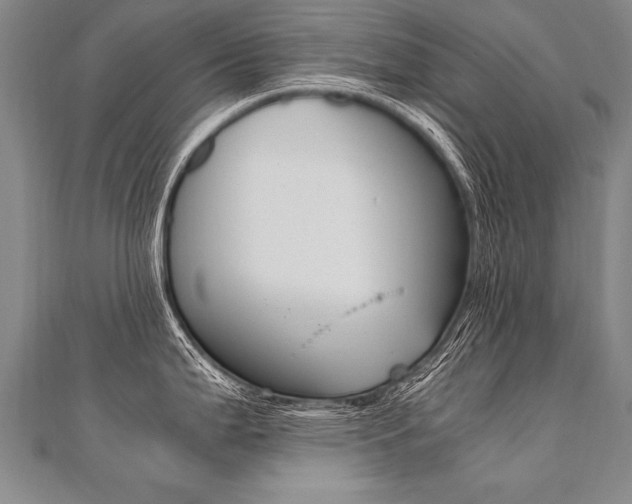 X0000110691199200906121049