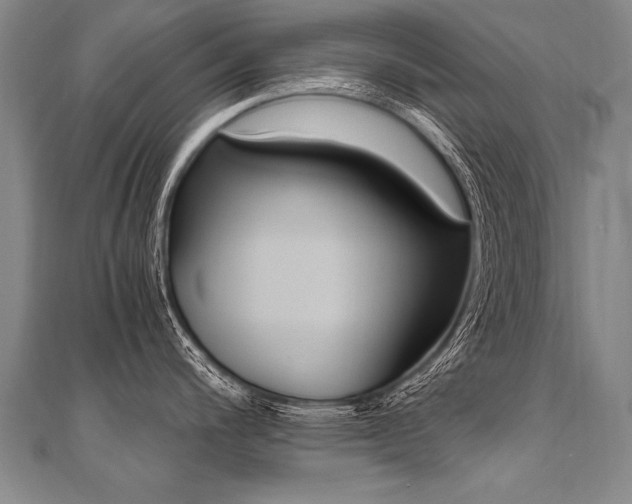 X0000110691200200906121049