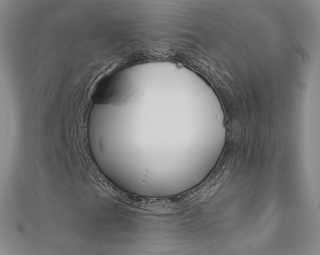 X0000110691201200906121048