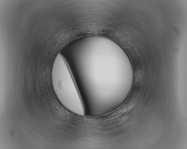 X0000110691202200906121048