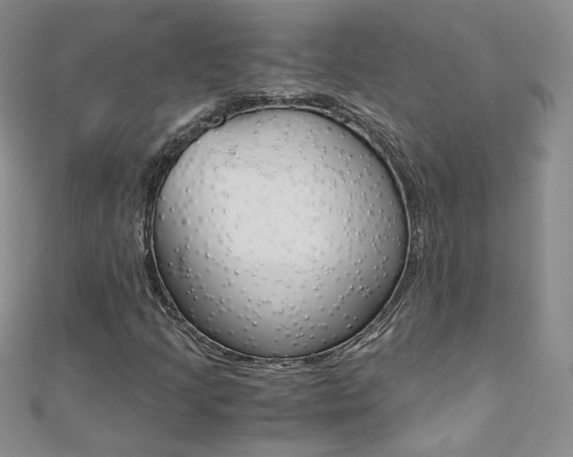 X0000110691205200906121048