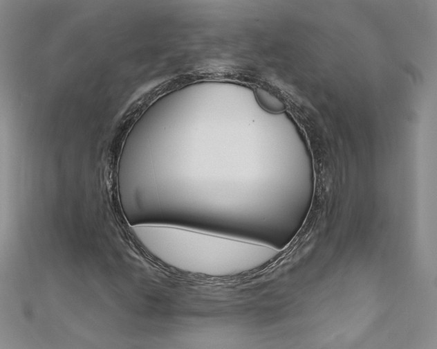 X0000110691206200906121048