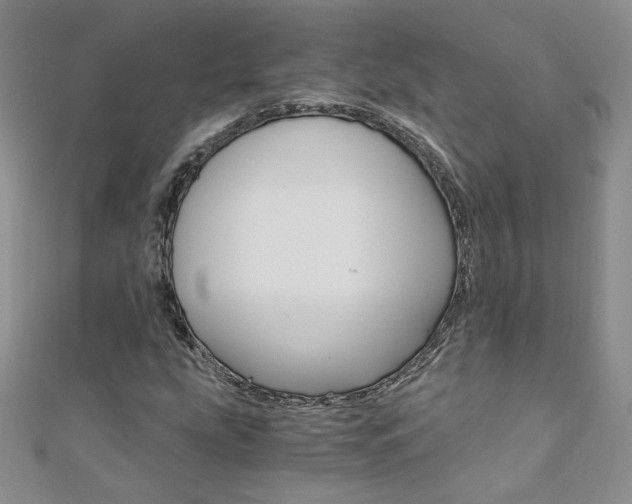 X0000110691207200906121048