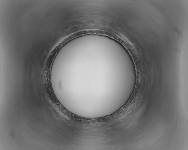 X0000110691208200906121048