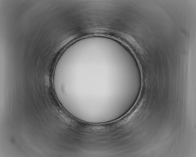 X0000110691209200906121048