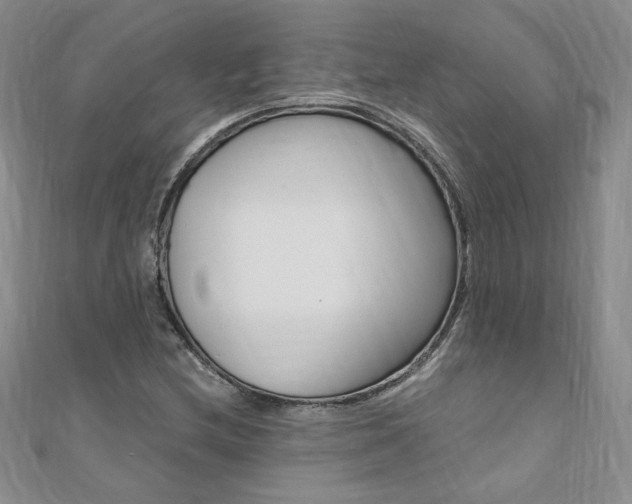 X0000110691212200906121048