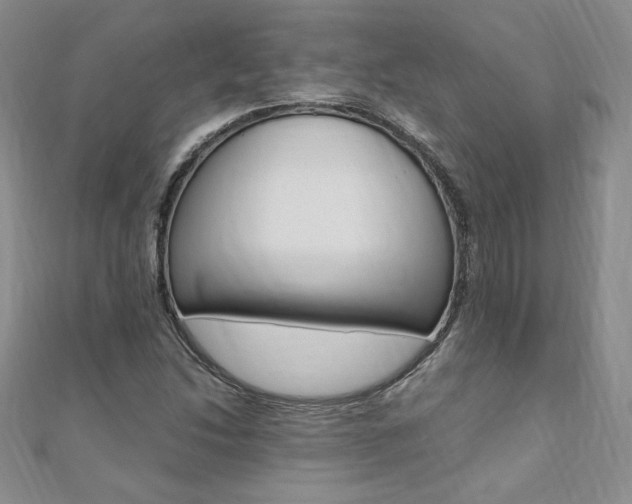 X0000110691214200906121048