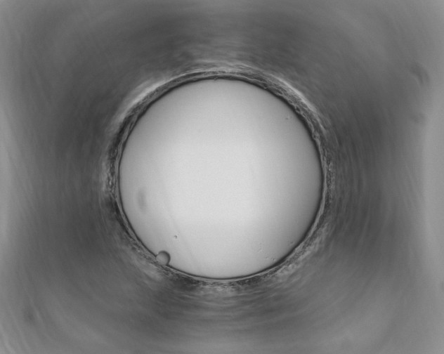 X0000110691215200906121048
