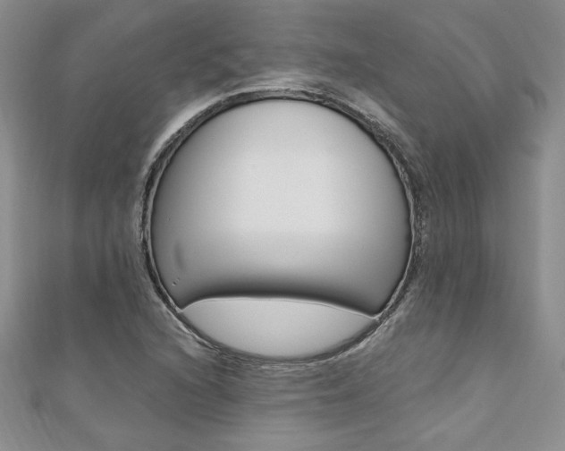 X0000110691216200906121048