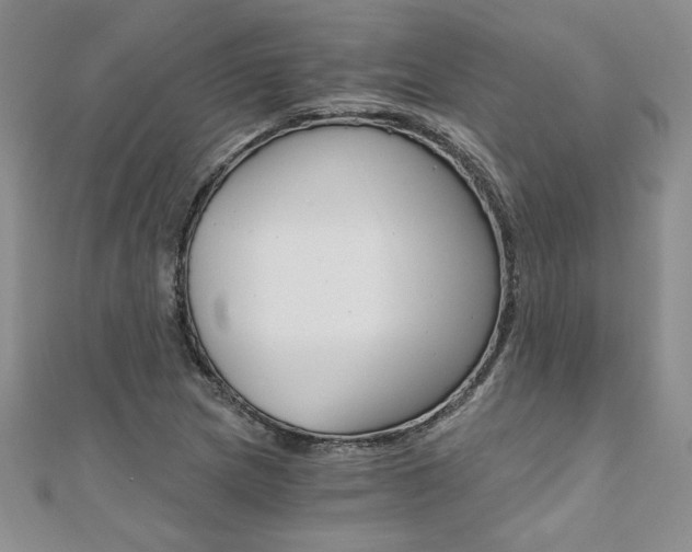 X0000110691217200906121048