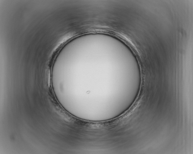 X0000110691219200906121048