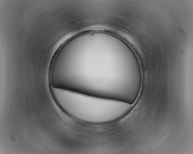 X0000110691229200906121049