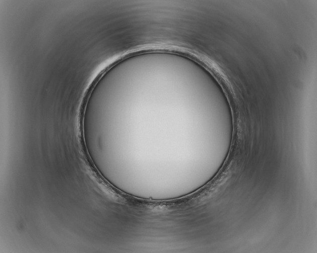 X0000110691230200906121049