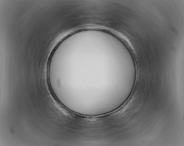 X0000110691231200906121049