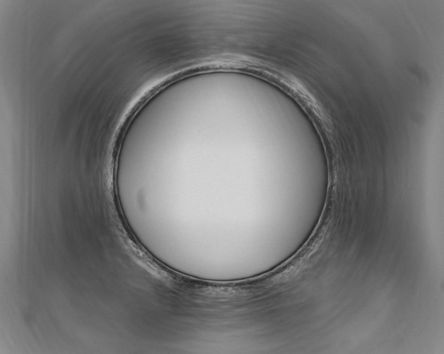 X0000110691232200906121049