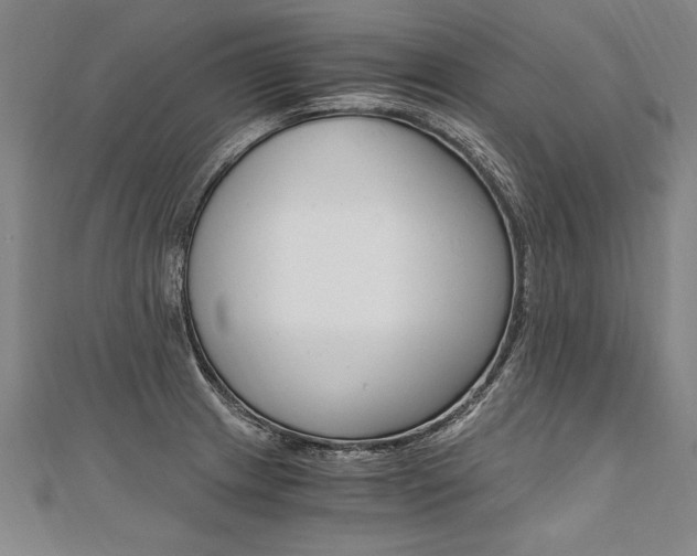 X0000110691233200906121049