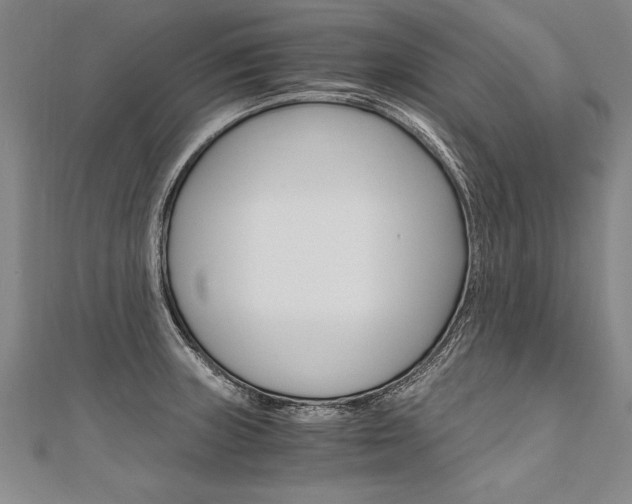 X0000110691235200906121049