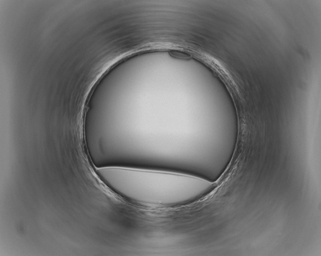 X0000110691236200906121049