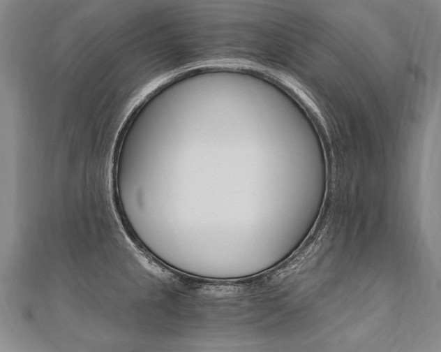 X0000110691237200906121049