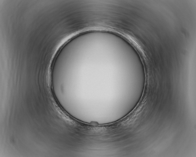 X0000110691238200906121049
