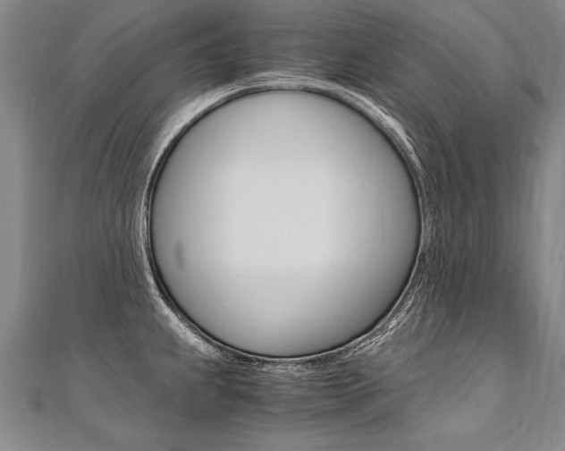 X0000110691239200906121049